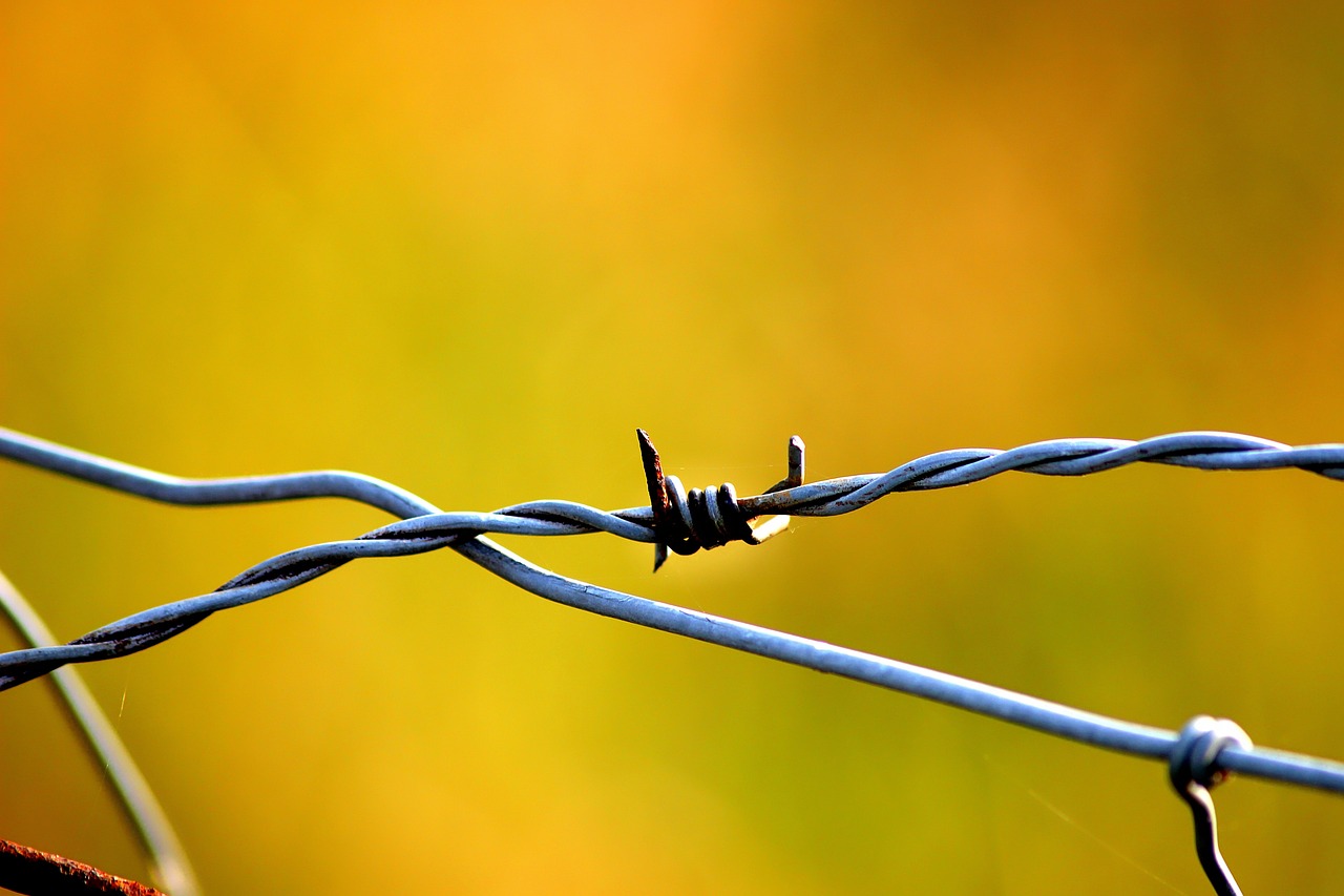 Making DIY Wire Crafts for Your Home